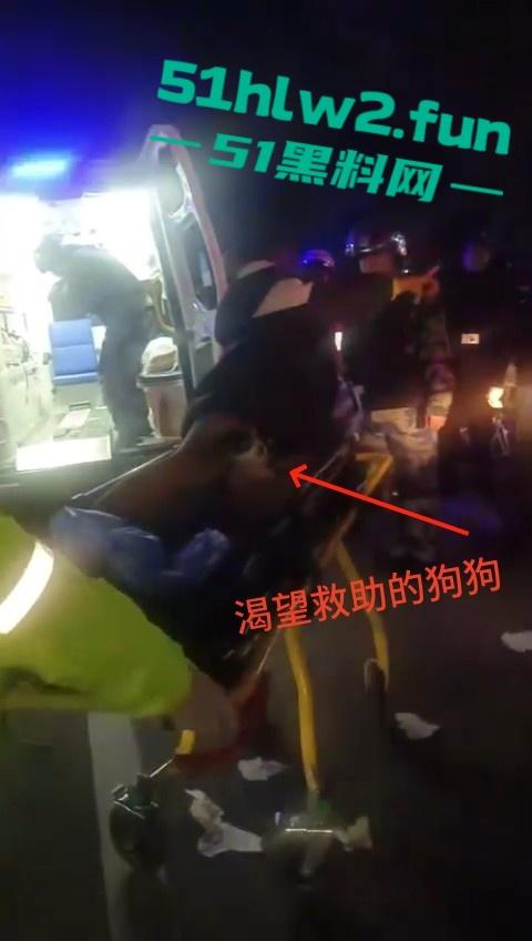 浙江丹州紫竹山庄女子【人兽与狗】性交，狗鸡巴卡阴道里面出不来只能送医救治，社死现场视频。  第8张