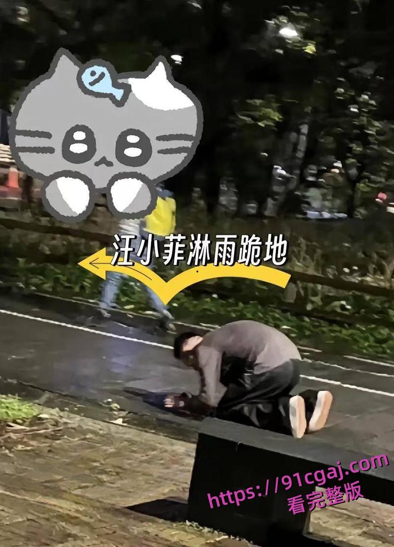 汪小菲被曝结婚第二年就偷情 假装深情怀念亡妻 却被小三曝光出轨视频 第7张 汪小菲被曝结婚第二年就偷情 假装深情怀念亡妻 却被小三曝光出轨视频 第7张