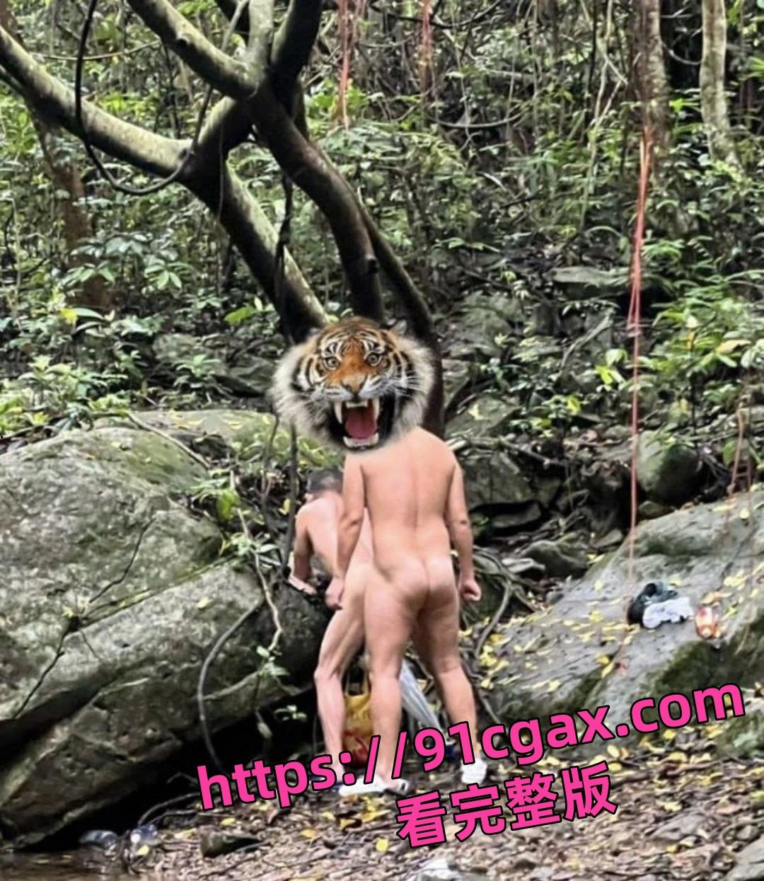 深圳梧桐山老虎涧夜间百人基佬野战淫趴场面真壮观! 第4张 深圳梧桐山老虎涧夜间百人基佬野战淫趴场面真壮观! 第4张