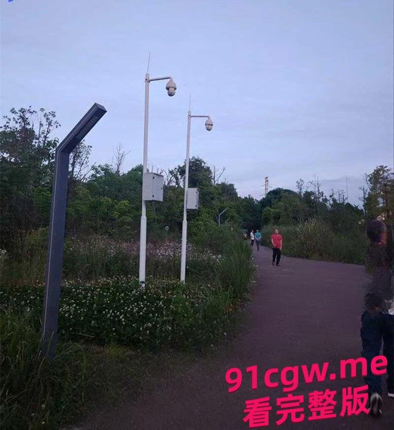 成都“大久保公园”大量站街女!100一次妹妹陪你钻小树林,避孕套堆成山 第5张 成都“大久保公园”大量站街女!100一次妹妹陪你钻小树林,避孕套堆成山 第5张