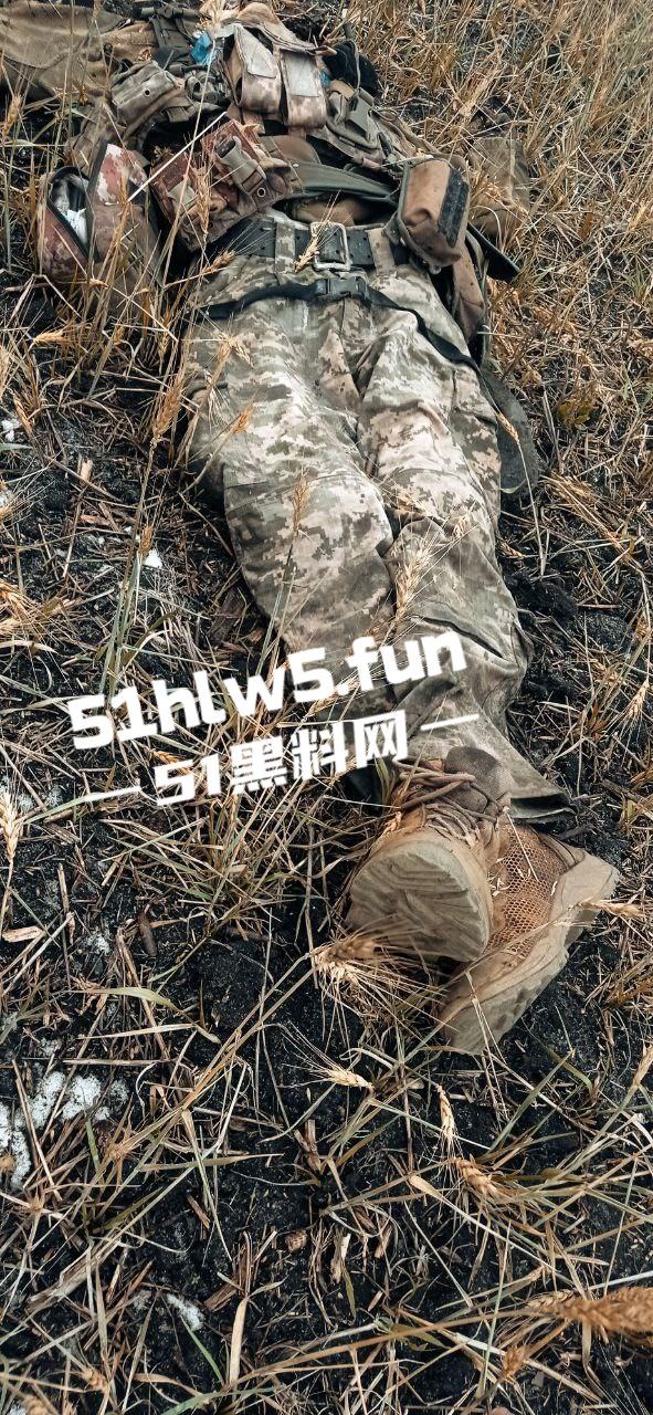 【血腥恐怖】俄乌战场战后清扫，到处都是早已腐烂的士兵尸体，现场视频画面流出。  第3张