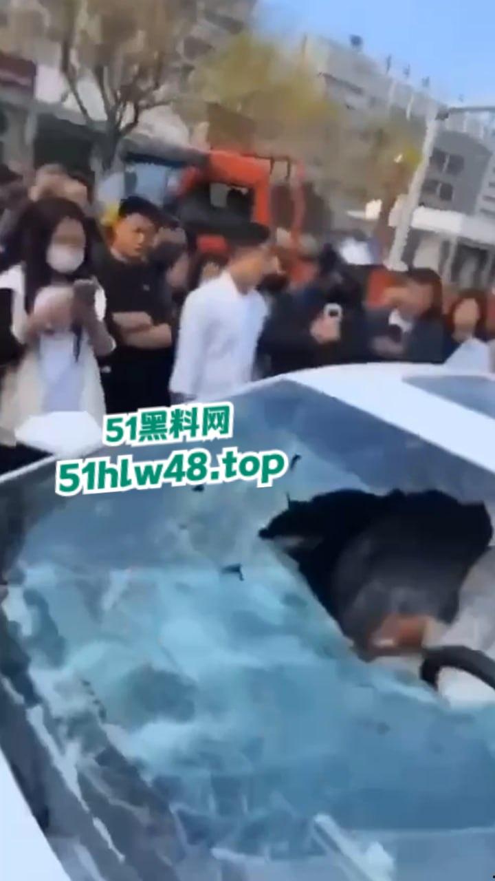 河北邢台最蠢原配,带姐妹家人砸车抓小三被吓的车里不敢出来,结果被玻璃划伤原配遭刑拘。 第3张 河北邢台最蠢原配,带姐妹家人砸车抓小三被吓的车里不敢出来,结果被玻璃划伤原配遭刑拘。 第3张