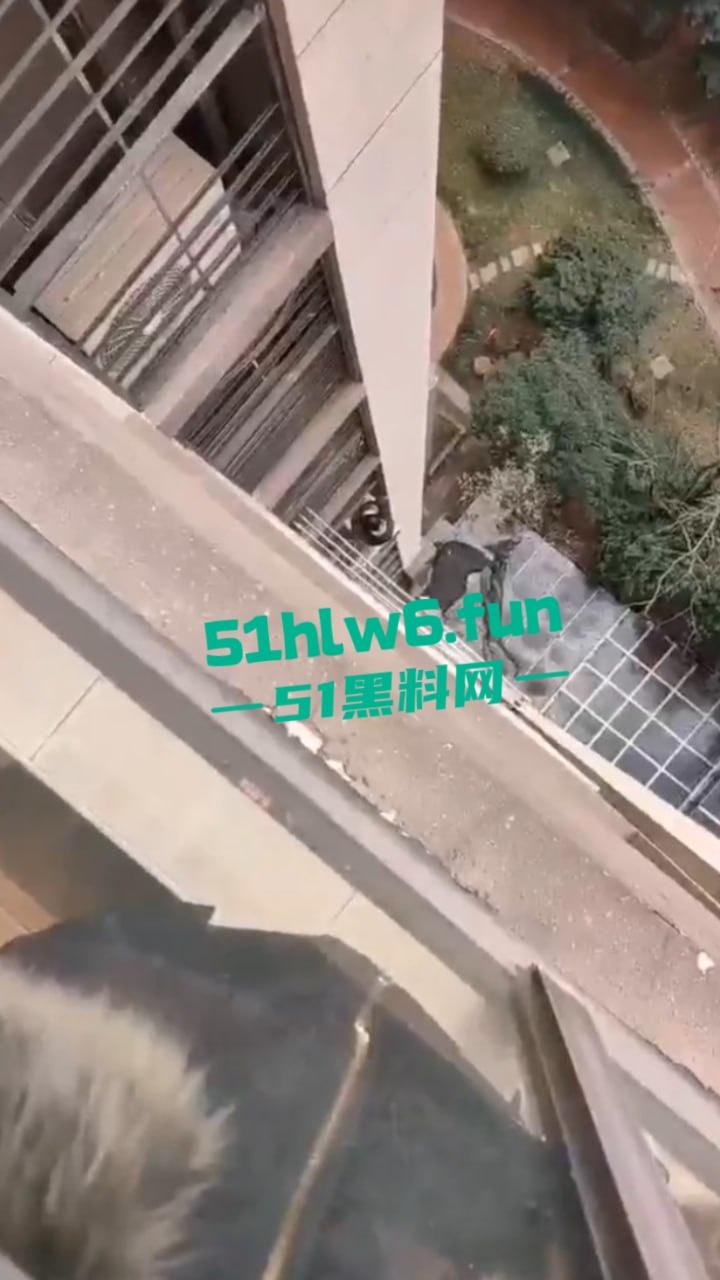 山东瓜友实拍一小孩突发奇想，跨过窗户跑到空调机外墙顺着栏杆从高层爬下去，真是初生牛犊不怕虎啊。  第4张