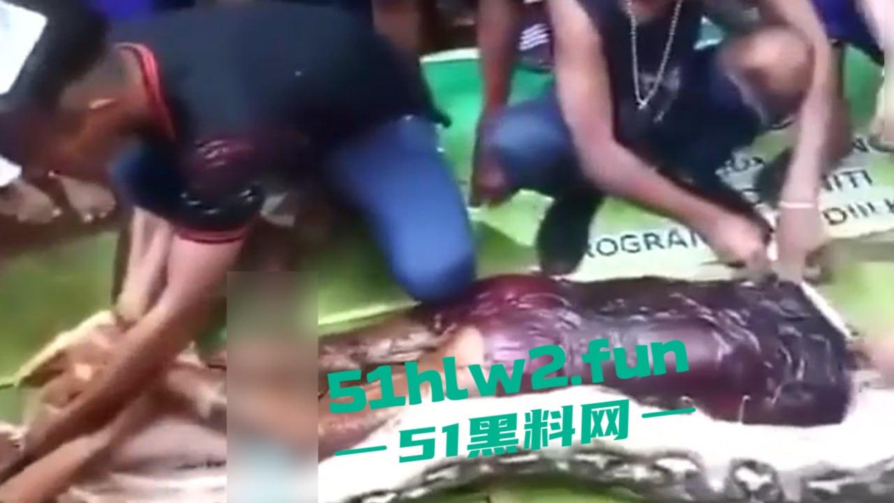 印尼猎奇事件，一妇女在回家途中遭蟒蛇袭击，将其缠绕致死后将妇女吞入腹中被村民发现将蟒蛇打死。  第1张