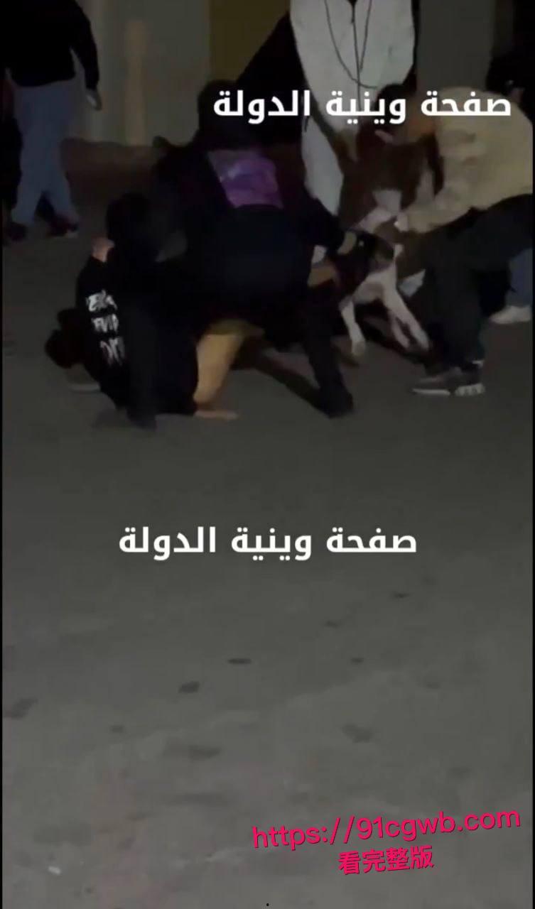 简直是看得蛋疼!黎巴嫩贝鲁特街头小伙裤裆惨遭比特犬幼犬狂咬!睾丸被生生扯出伤口血肉模糊低吟求救全过程偷拍视频疯传 第1张 简直是看得蛋疼!黎巴嫩贝鲁特街头小伙裤裆惨遭比特犬幼犬狂咬!睾丸被生生扯出伤口血肉模糊低吟求救全过程偷拍视频疯传 第1张