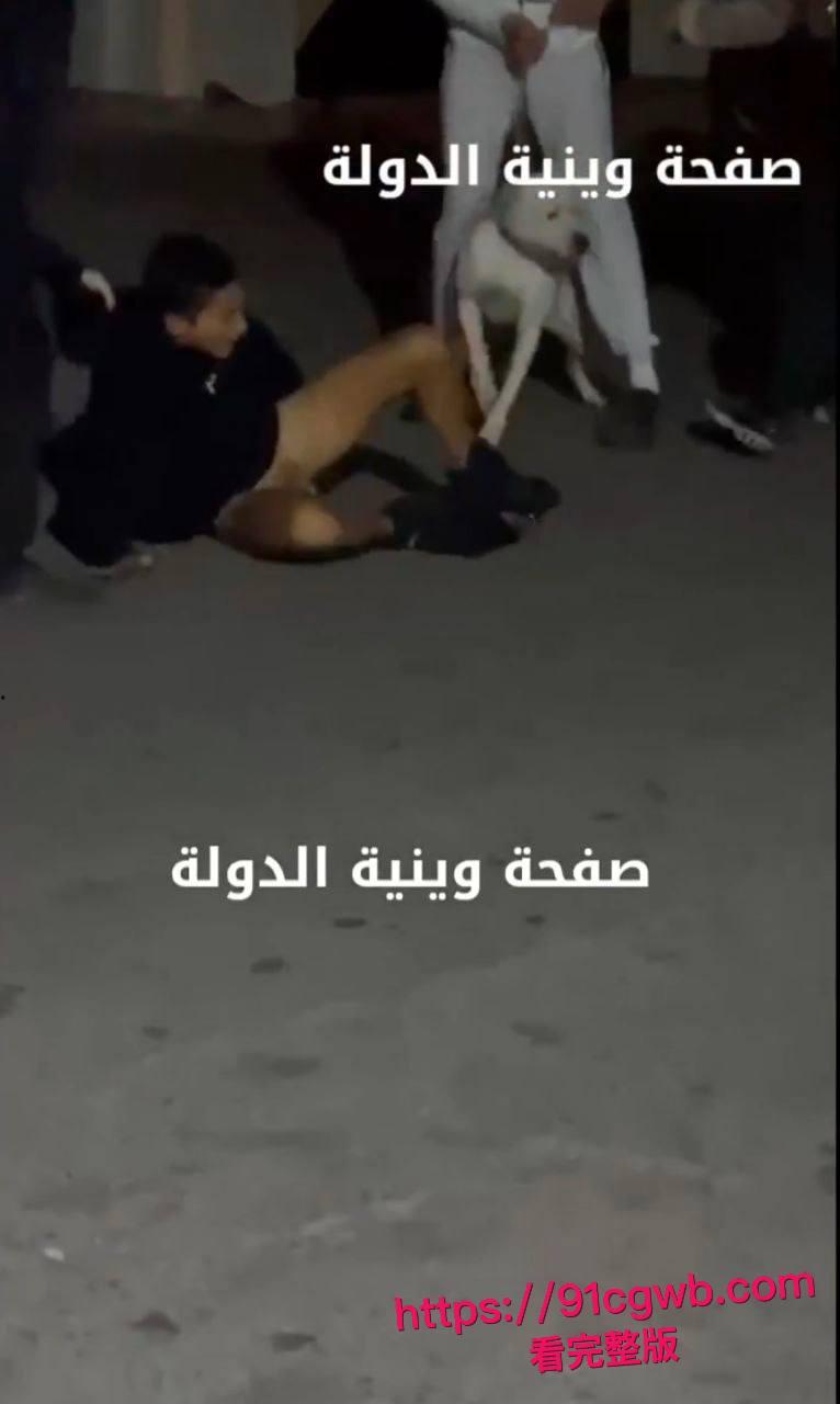 简直是看得蛋疼!黎巴嫩贝鲁特街头小伙裤裆惨遭比特犬幼犬狂咬!睾丸被生生扯出伤口血肉模糊低吟求救全过程偷拍视频疯传 第2张 简直是看得蛋疼!黎巴嫩贝鲁特街头小伙裤裆惨遭比特犬幼犬狂咬!睾丸被生生扯出伤口血肉模糊低吟求救全过程偷拍视频疯传 第2张