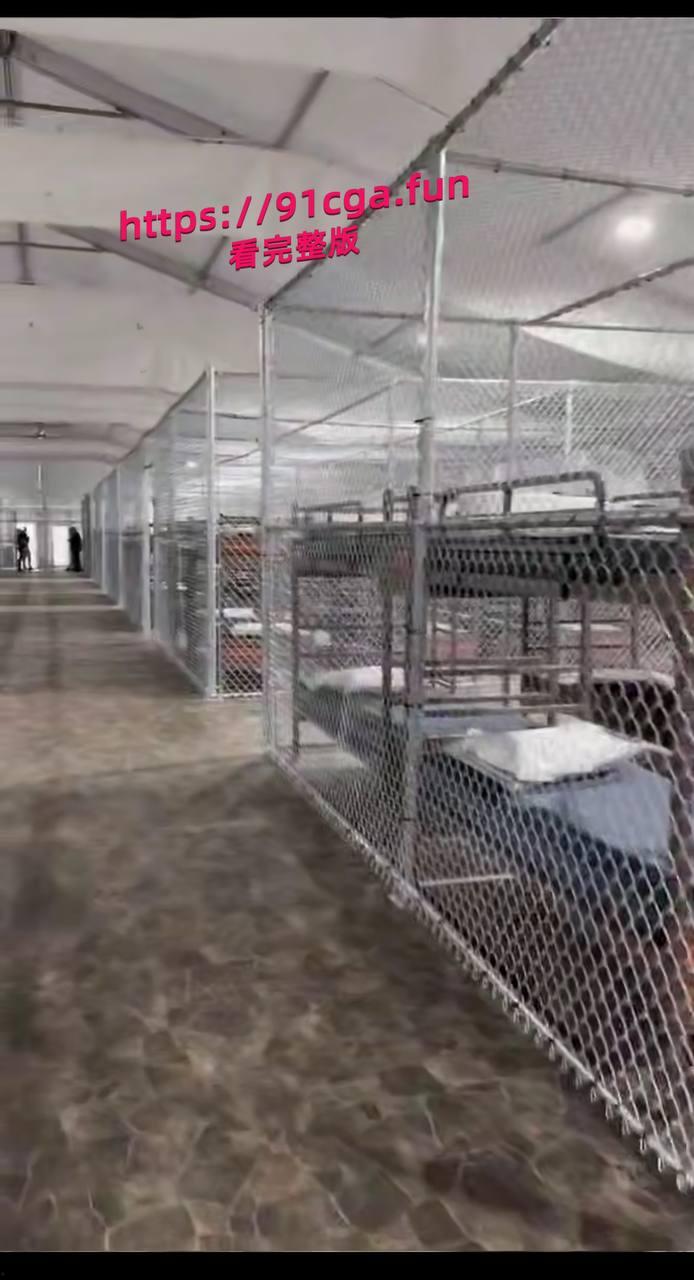 佛罗里达州推出鳄鱼岛监狱，简直是人间地狱太可怕了，这辈子都不要去这里  第3张